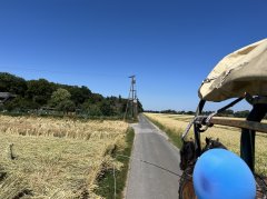 60-Planwagen (25b.JPG